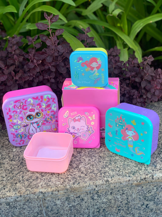 Snack Box Set of 4 (pink)