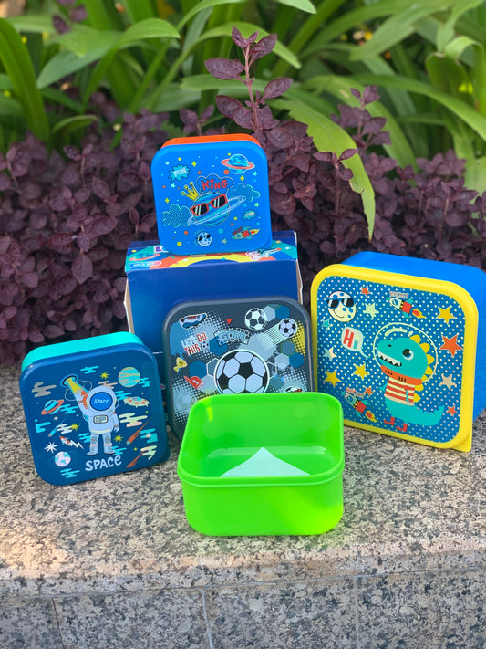 Snack box set of 4 (blue)